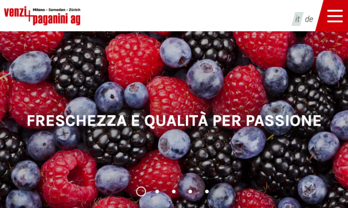 Venzi+Paganini by ecomunicare.ch sagl Web Design